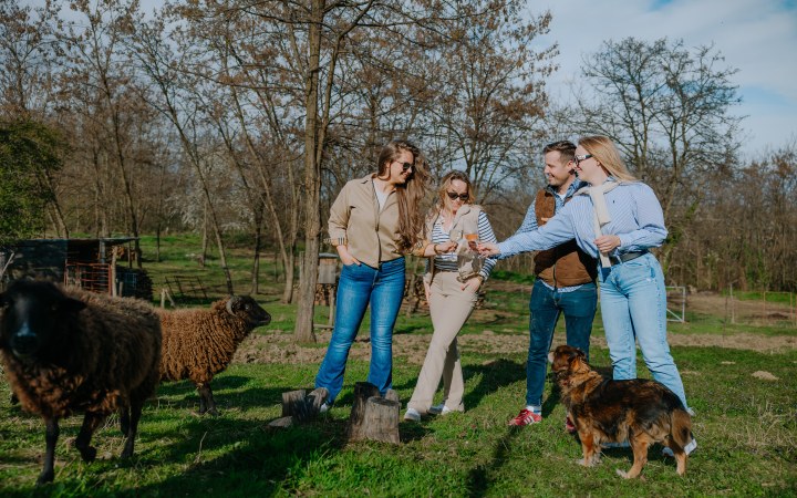 Cseri wine tasting with beautiful Pannonhalma red wines