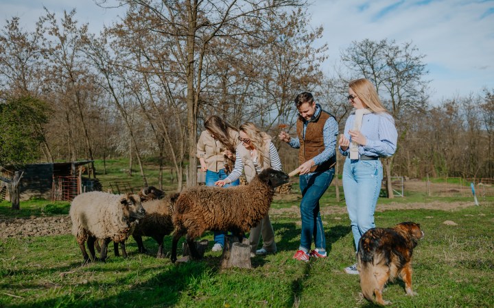 Cseri wine tasting with various Rieslings
