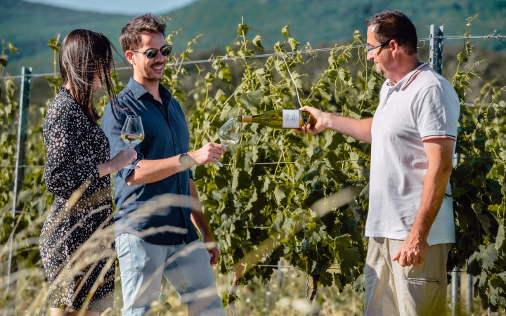 Csernyik wine tasting at a winery dating back five generations galéria kép
