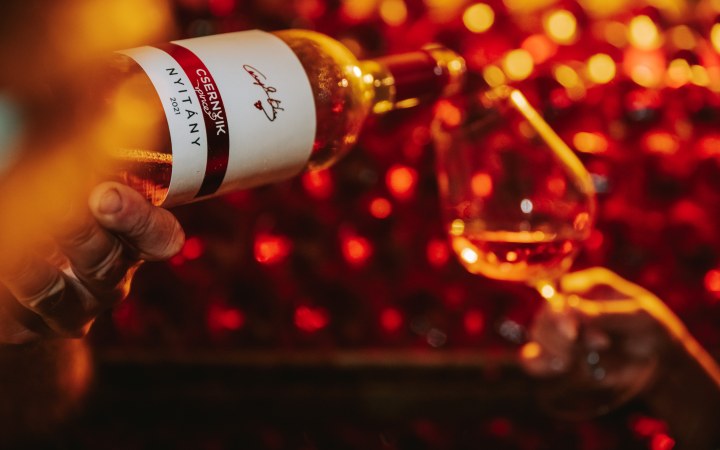 Csernyik wine tasting at the dynamically growing family winery