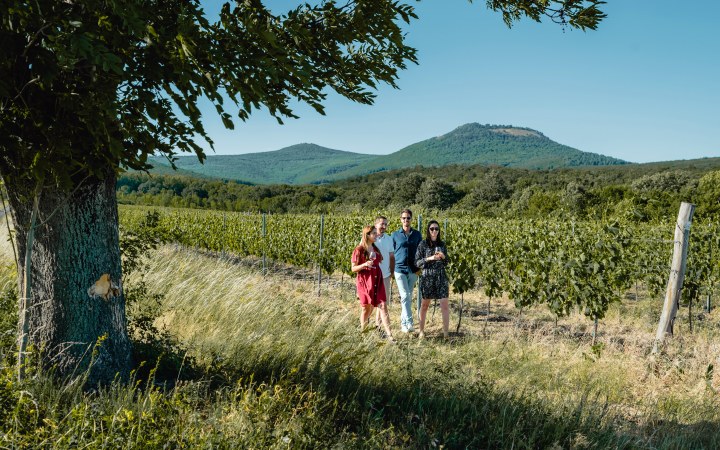 Csernyik wine tasting at the dynamically growing family winery