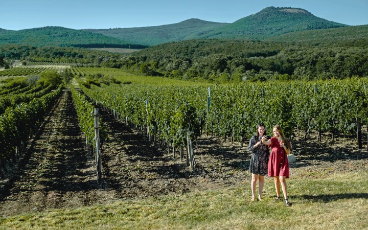 Csernyik wine tasting at the dynamically growing family winery