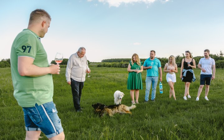 Csókás wine tasting at a picturesque vineyard galéria kép