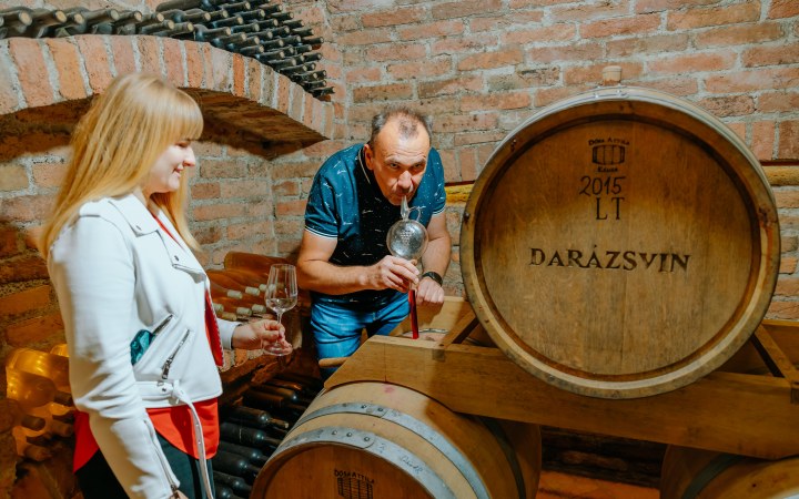 Darázsvin borkóstoló egy igazi mátyusföldi családi borászatban galéria kép