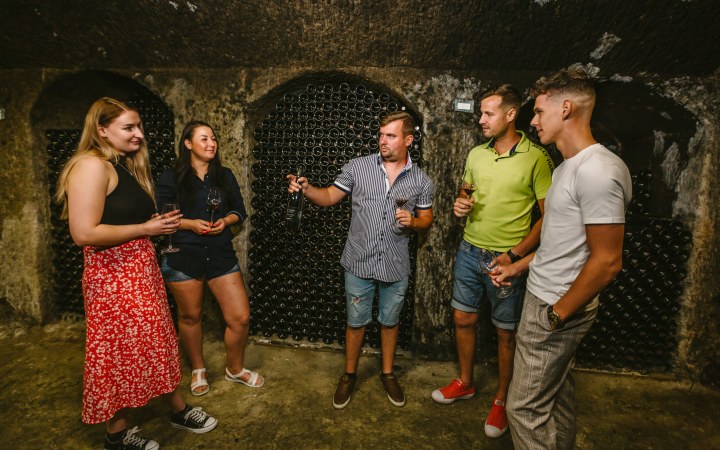 Dávid Borház borkóstoló gyalogosan is elérhető pincesoron