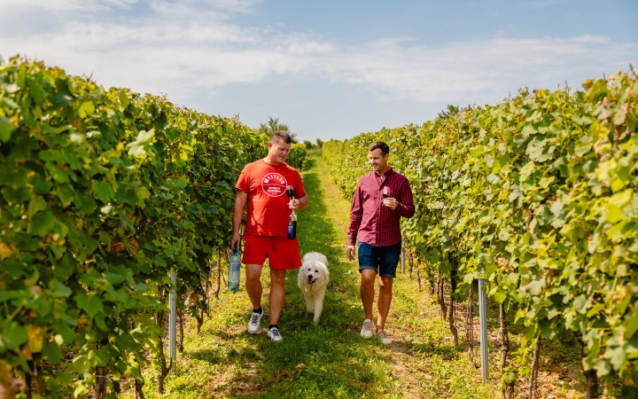 Bohos wine tasting at the artisan family winery galéria kép