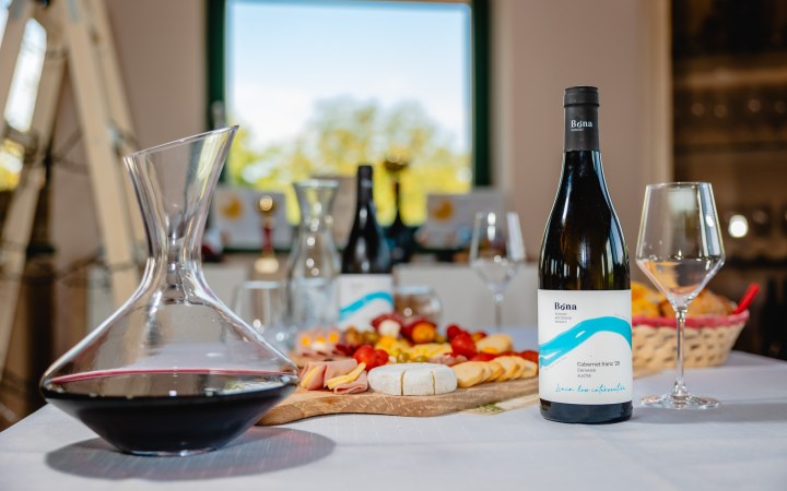 Bóna wine tasting with 6 items and a view of the vineyard galéria kép