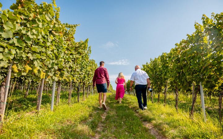 Bóna wine tasting with 6 items and a view of the vineyard galéria kép