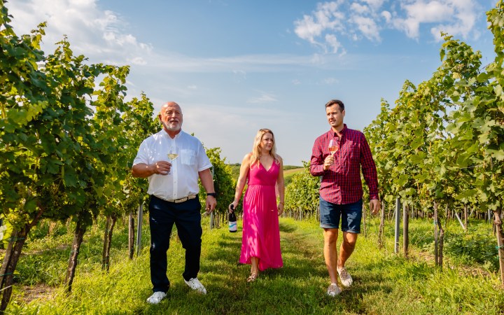 Bóna wine tasting with 6 items and a view of the vineyard galéria kép