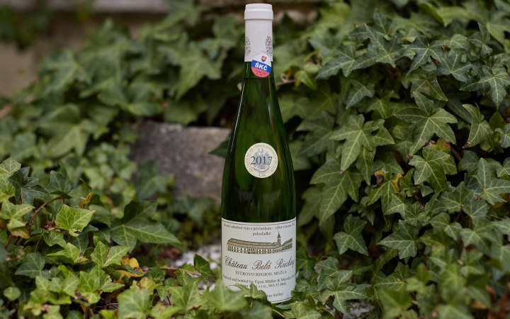 Château Bela wine tasting in the 250-year-old noble castle