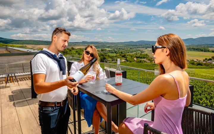 Világi wine tasting with cold platter and chocolate pairing