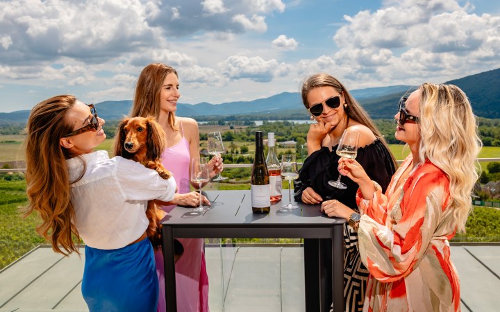 Világi wine tasting with cold platter and chocolate pairing
