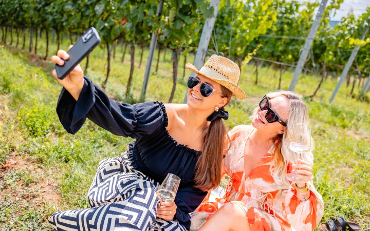 Világi wine tasting with cold platter and chocolate pairing