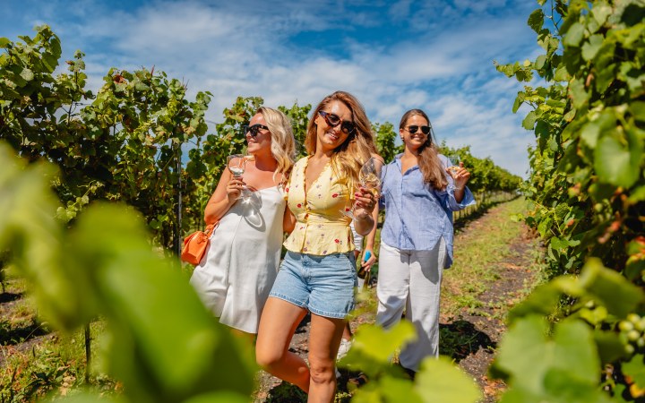 Zalaba wine tasting with classic wine selection and vineyard tour option galéria kép