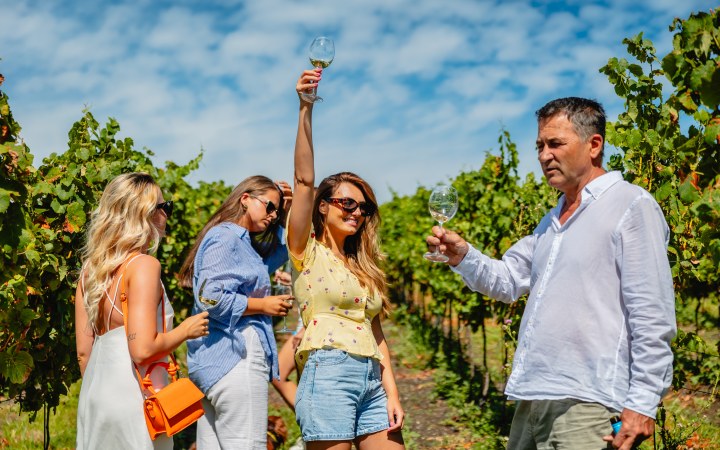 Zalaba wine tasting with classic wine selection and vineyard tour option galéria kép