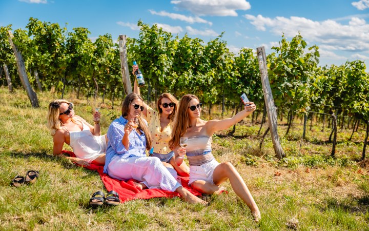 Zalaba wine tasting with classic wine selection and vineyard tour option galéria kép