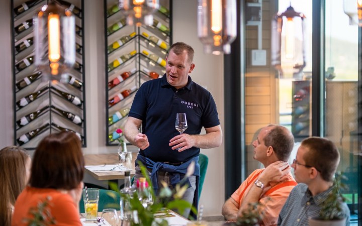 Dobosi wine tasting with cellar tour and barrel samples