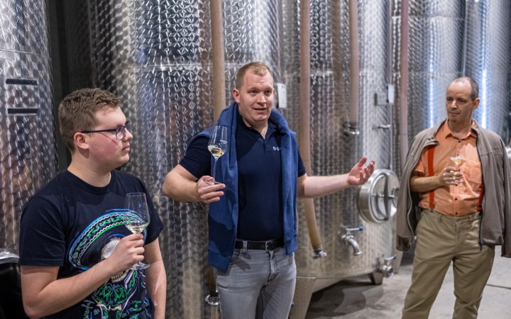 Dobosi wine tasting with a freely assembled wine selection