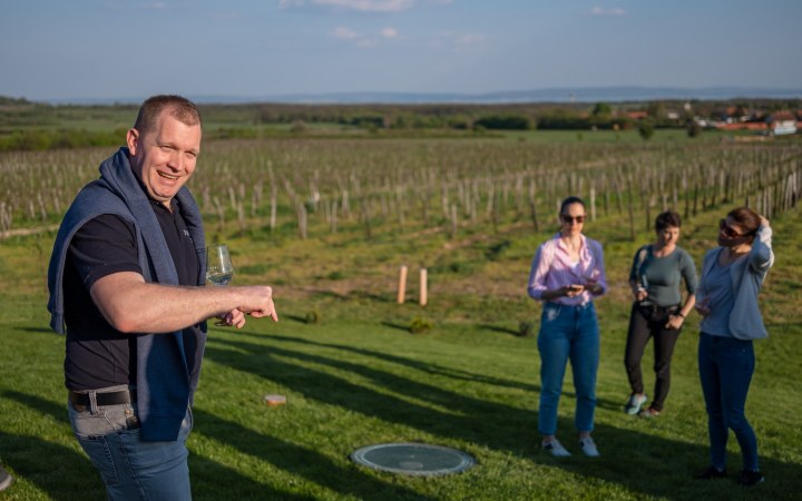 Dobosi wine tasting with a freely assembled wine selection