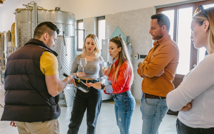 Dominium wine tasting at the historic Farkasmály cellar row