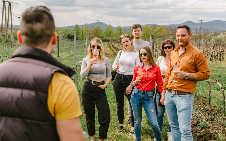 Dominium wine tasting with grand selection wines