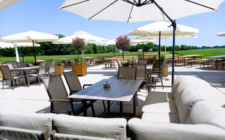 Eichenwald wine tasting with current vintages on the sun terrace