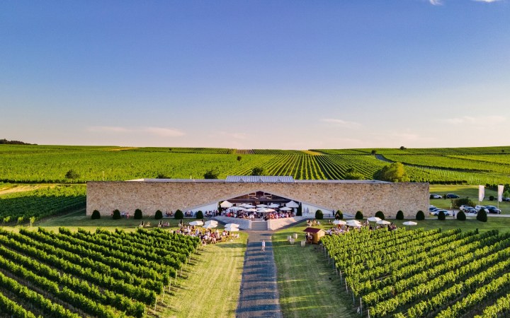 Eichenwald wine tasting with current vintages on the sun terrace