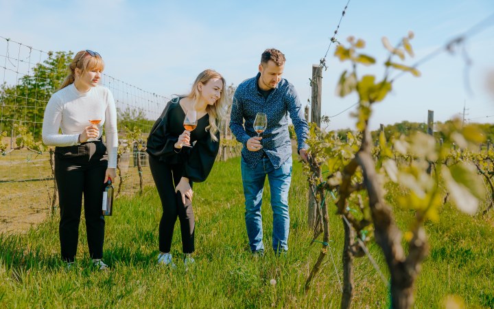 Eklézsia borkóstoló bio borokkal a több száz éves műemléki pincében galéria kép