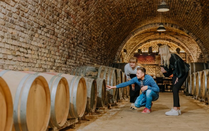 Eklézsia wine tasting with organic wines in a centuries-old heritage cellar