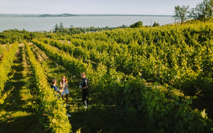 Éliás wine tasting with unbeatable Balaton panorama