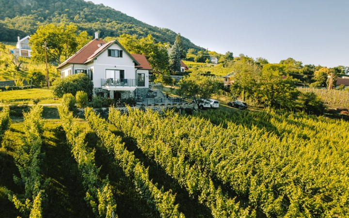 Éliás wine tasting with unbeatable Balaton panorama