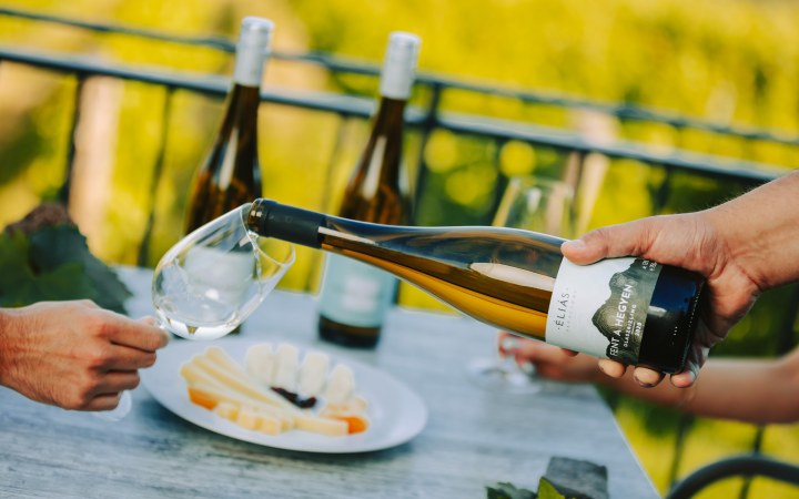 Éliás wine tasting with unbeatable Balaton panorama
