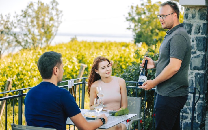 Éliás wine tasting with unbeatable Balaton panorama