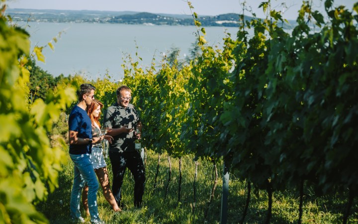 Éliás wine tasting with unbeatable Balaton panorama