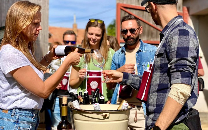 FILIBERK wine tasting with premium wines from a family-run boutique garage winery