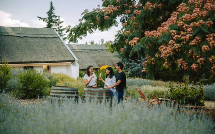 Folly borkóstoló az arborétum nyugalmában