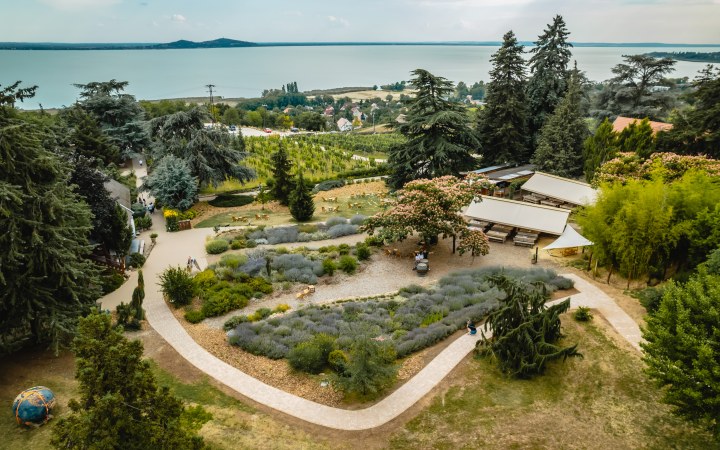 Folly borkóstoló az arborétum nyugalmában galéria kép