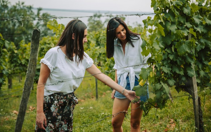 Folly borkóstoló az arborétum nyugalmában