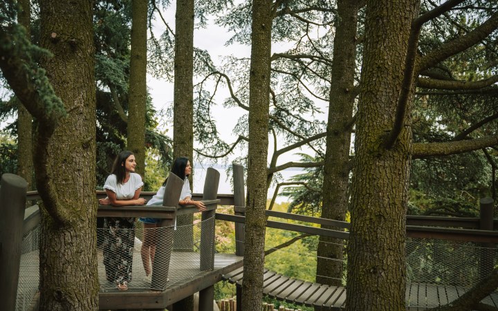 Folly borkóstoló az arborétum nyugalmában galéria kép
