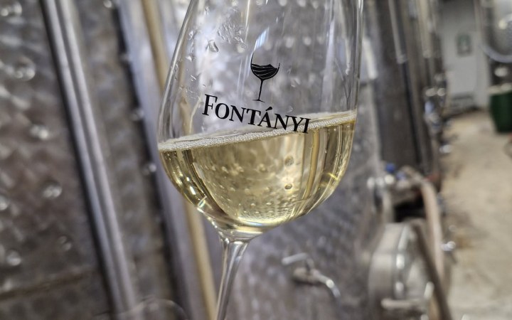 Fontányi borkóstoló felejthetetlen olaszrizling és PI-WI borokkal galéria kép