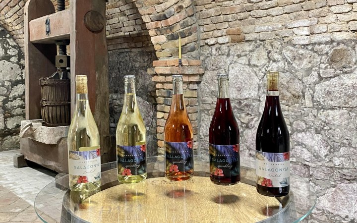 Galagonyás borkóstoló habzóborral a történelmi pincesoron galéria kép