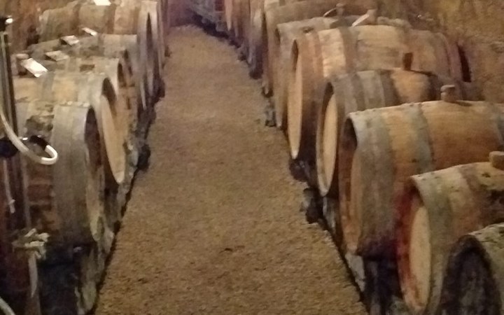 Galambos wine tasting with barrel Tokaj wines and optional wine dinner galéria kép