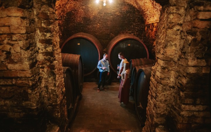 Gangl borkóstoló a 200 éves soproni borospincében galéria kép