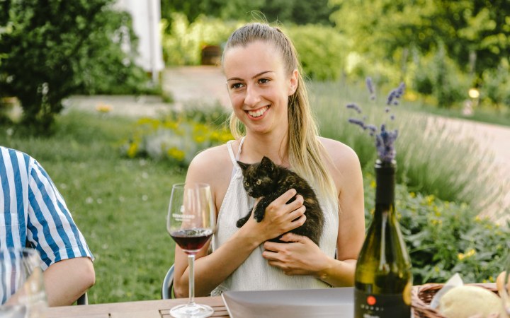 Garai wine tasting with special wine snacks