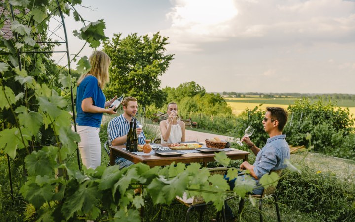 Garai wine tasting with special wine snacks