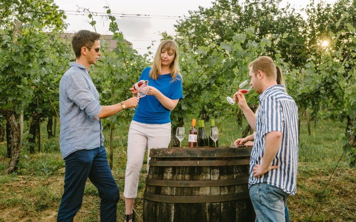 Garai wine tasting with special wine snacks