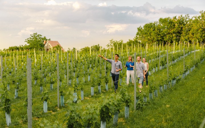 Garai wine tasting with special wine snacks