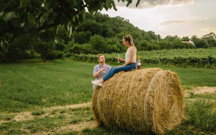 Garai wine tasting with special wine snacks