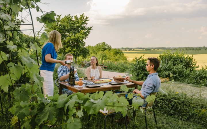 Garai wine tasting with wine dinner and ten wines