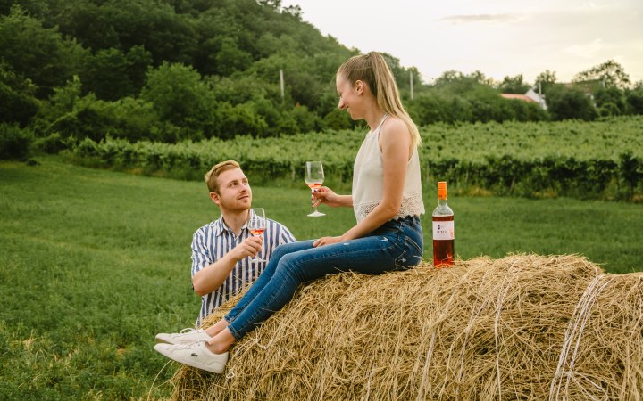 Garai wine tasting with wine dinner and ten wines